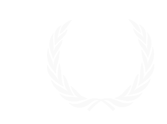 2010